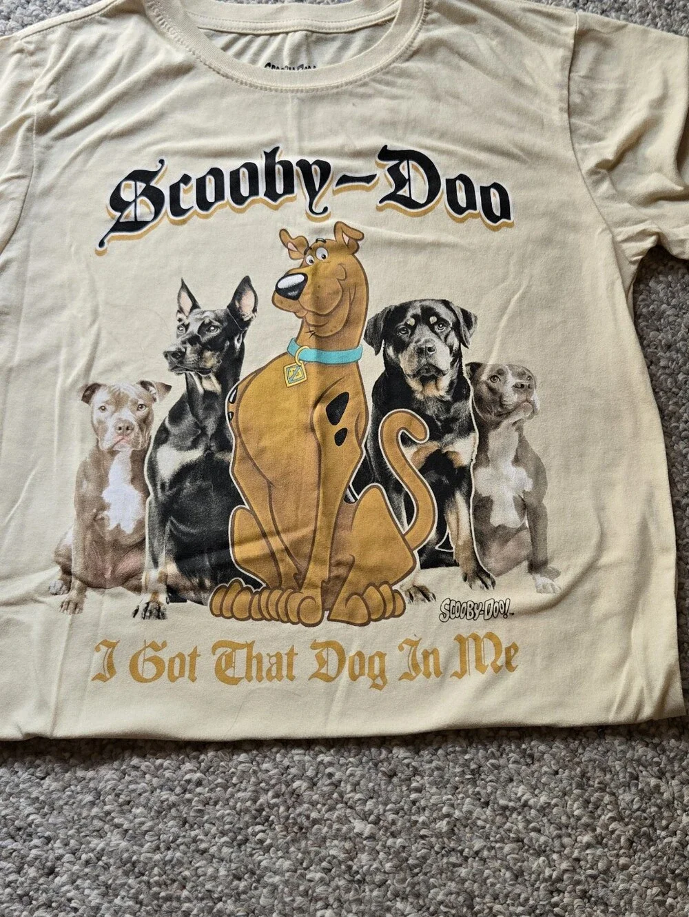 Freeze Beige Scooby-Doo Graphic Dog T-Shirt